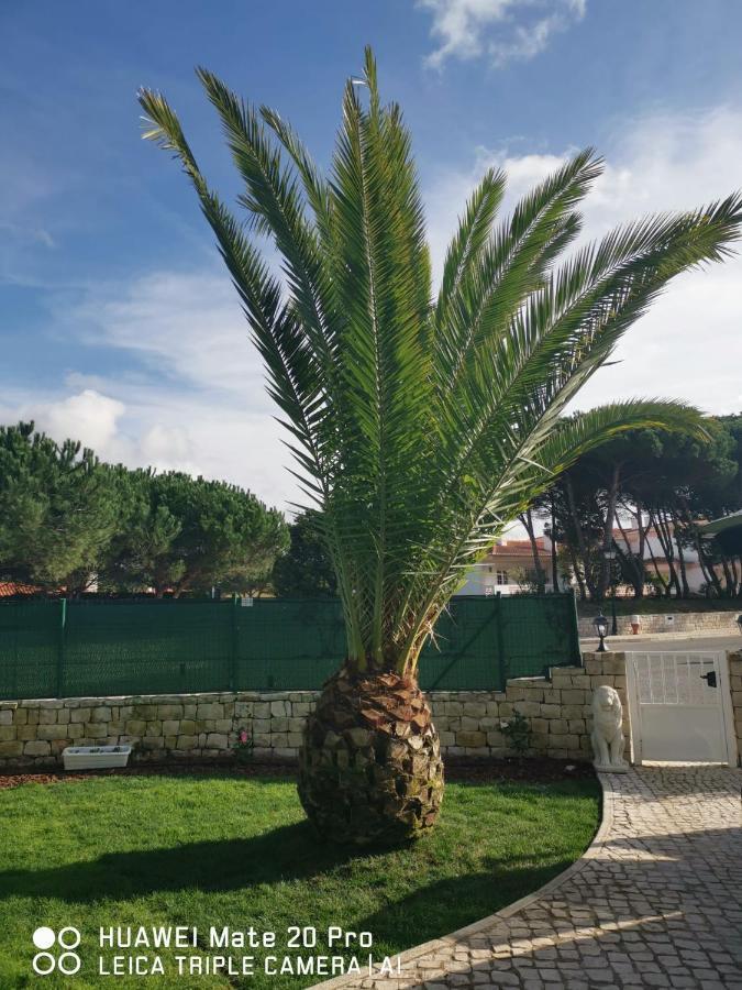 Villa Lala Amoreira  Luaran gambar